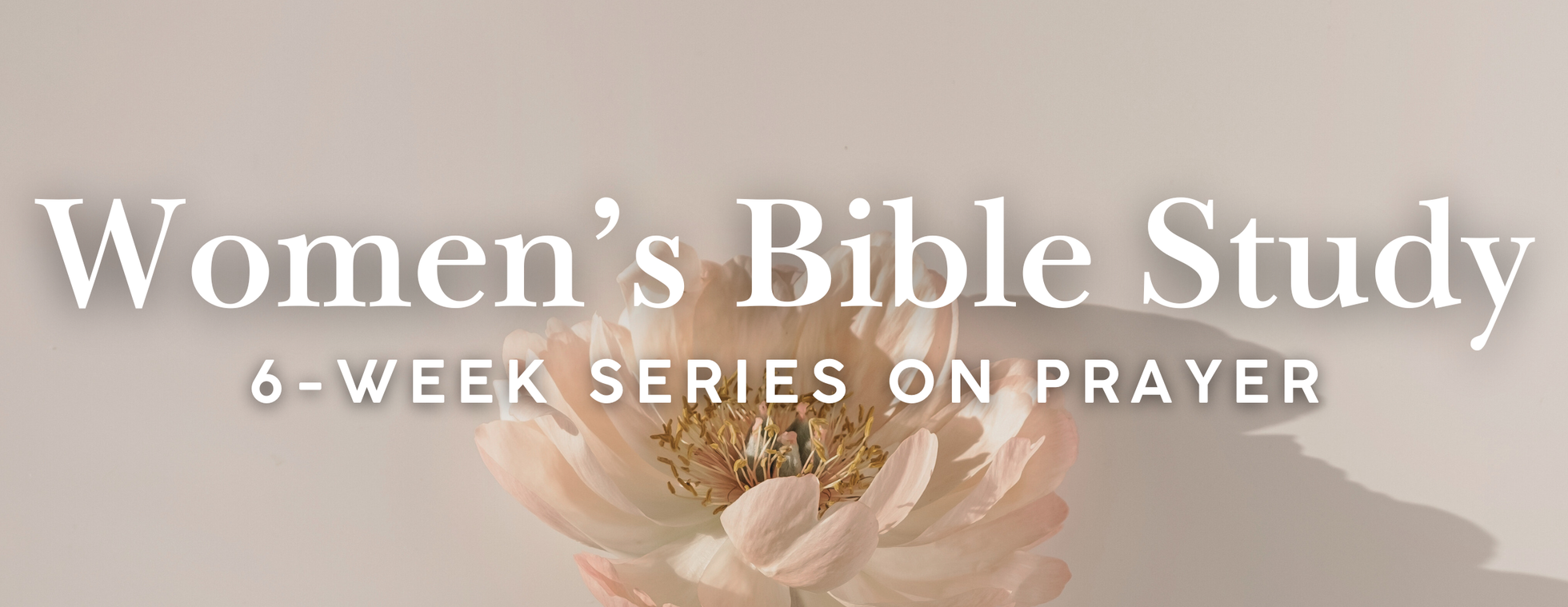 Women's Bible Study